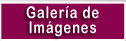 galería